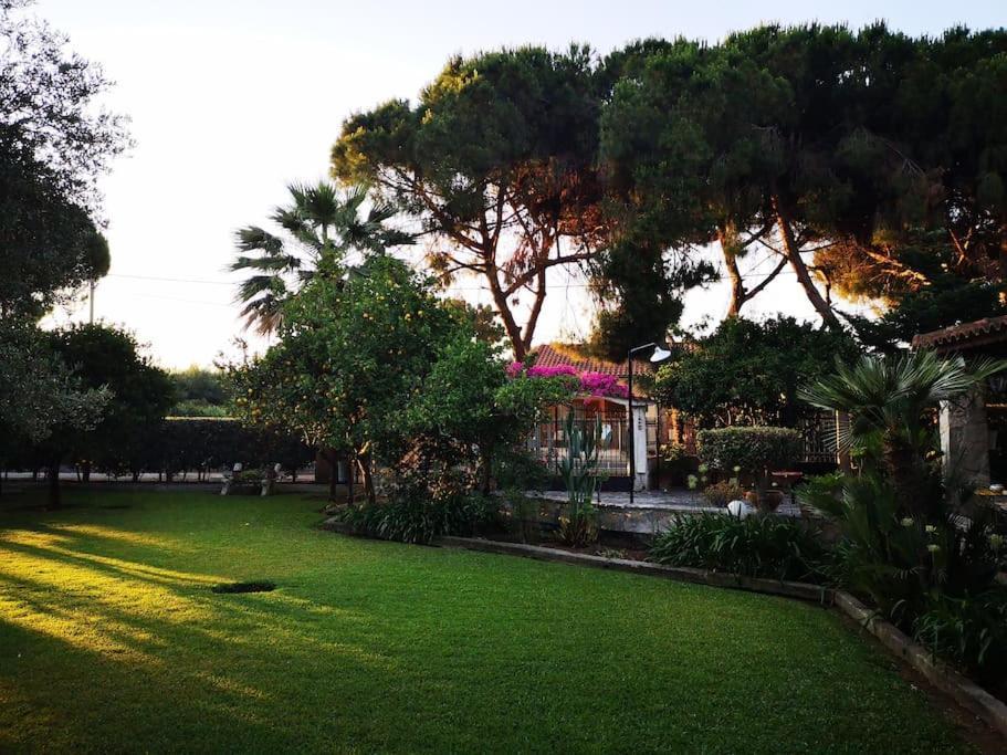 Villa Lena Entire Cottage Kalamaki  Buitenkant foto